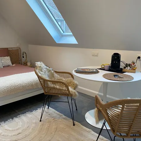 The Conservatory A Cosy Private Attic - Between Ghent Antwerp Brussels & Brugge