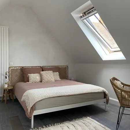 아파트 The Conservatory A Cosy Private Attic - Between Ghent Antwerp Brussels & Brugge